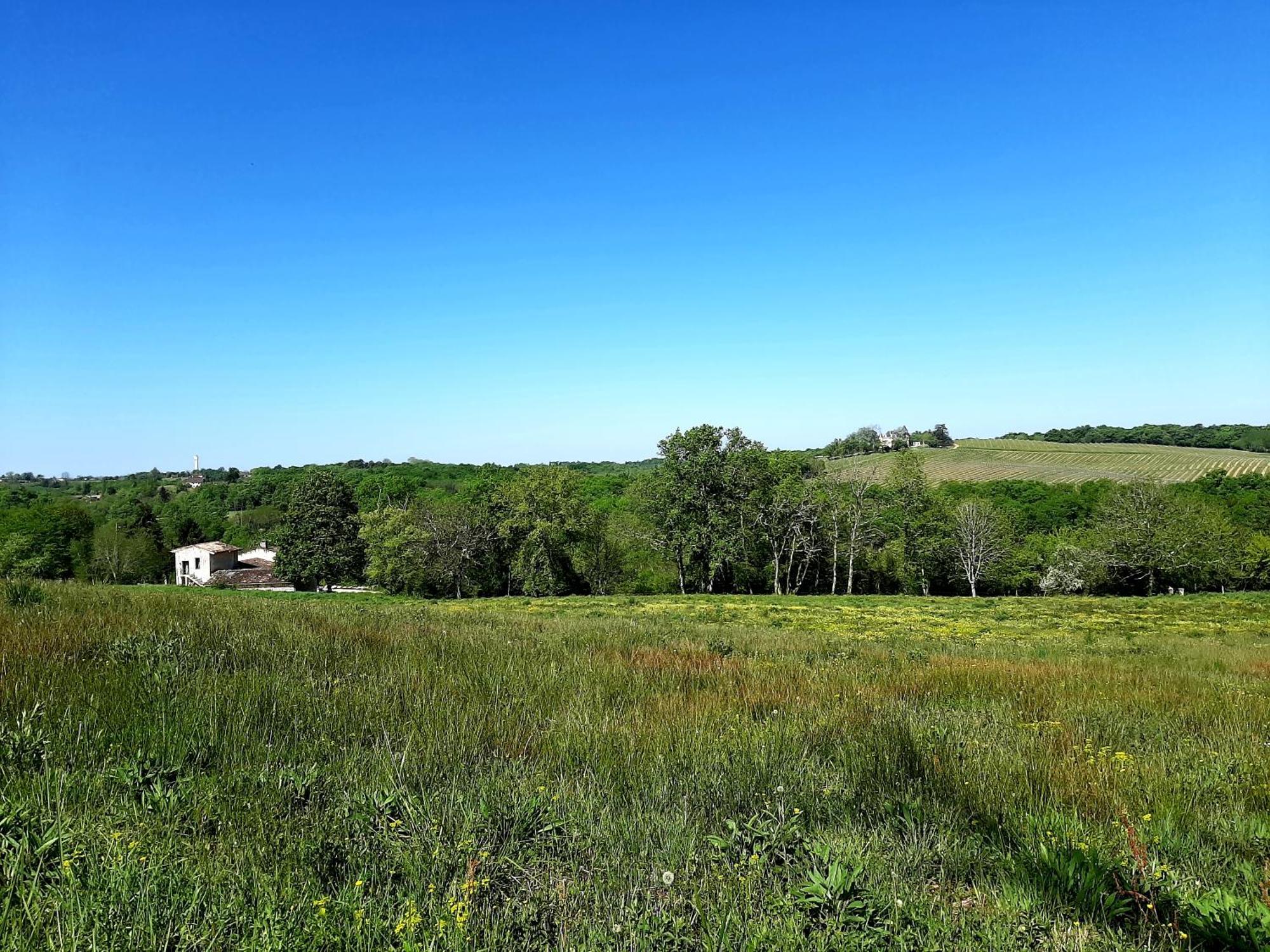 Aux Tuileries Nord B&B Créon Екстериор снимка